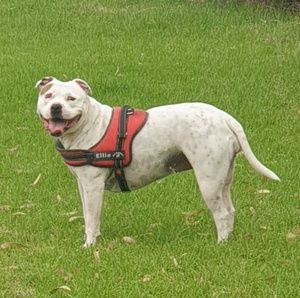 Meet your Posher, Tina